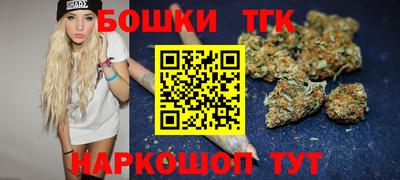 крисы Ирбит