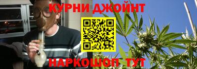 крисы Ирбит