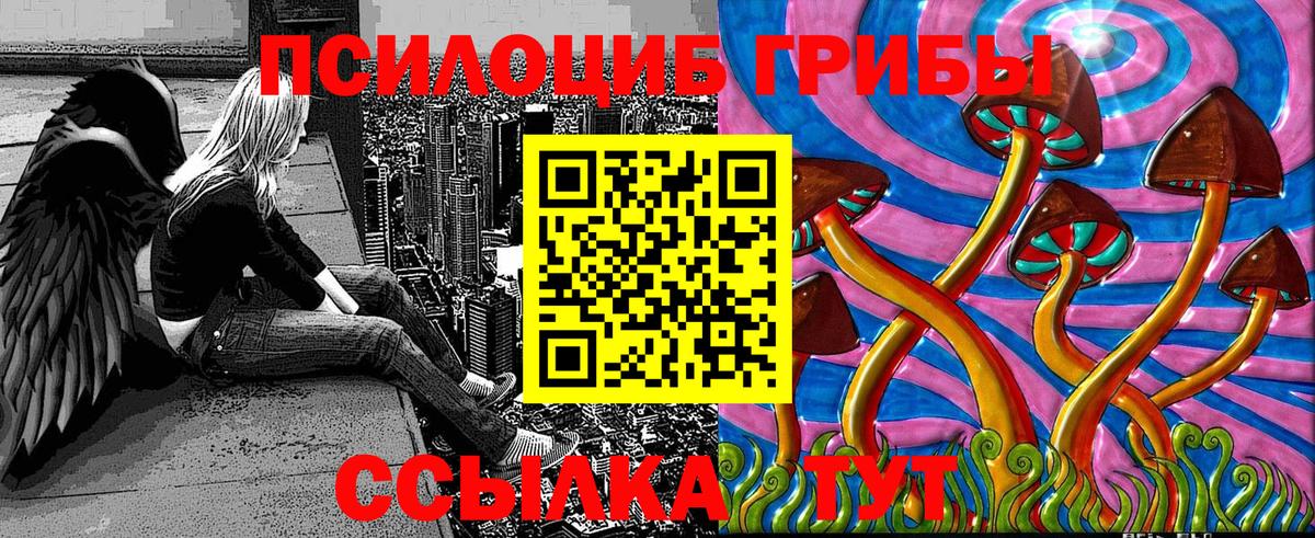 Галлюциногенные грибы Psilocybe  Вход с VPN  Кыштым 